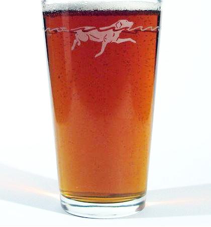 Swimming Lab Drinking Glass Set